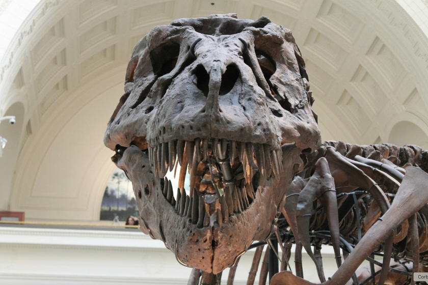 Que faire à Madrid Musée des sciences