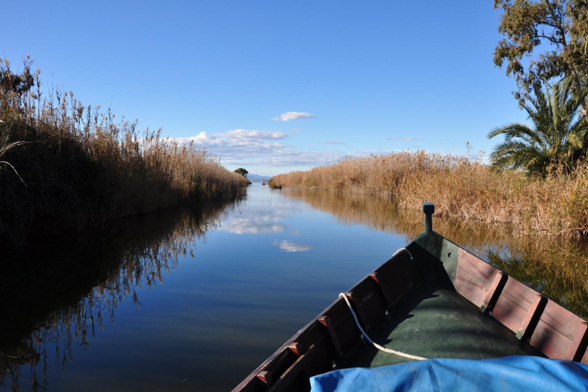 Que faire que visiter à Valence Parc de la Albufera