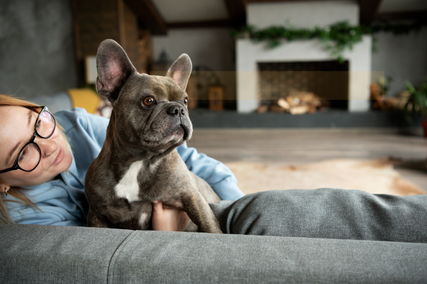 garde animaux toulouse