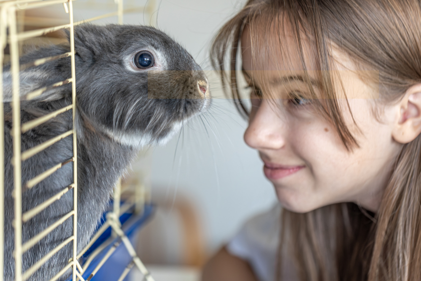 gardiennage animaux à domicile