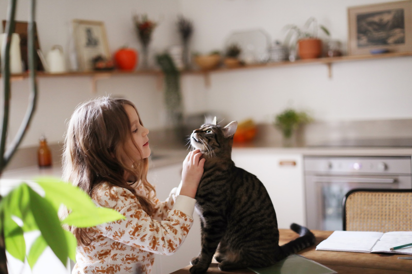 Vacances avec son animal de compagnie