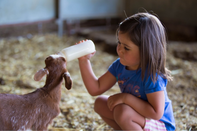 Une ouverture sur le monde pour les enfants