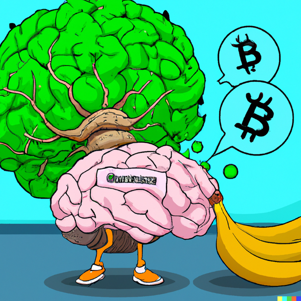 #23 // KW42 // 20.10.2022 // Brain-Wallets 🧠⛓