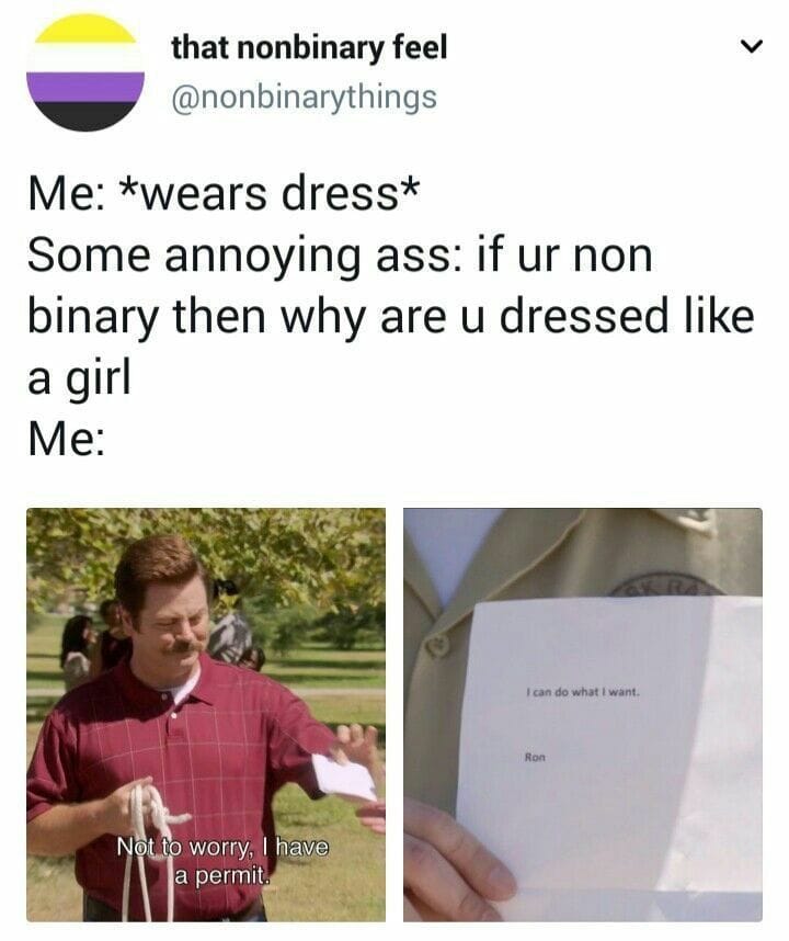Meme with Parks and Rec actor showing o permit that he can do whatever he wants.