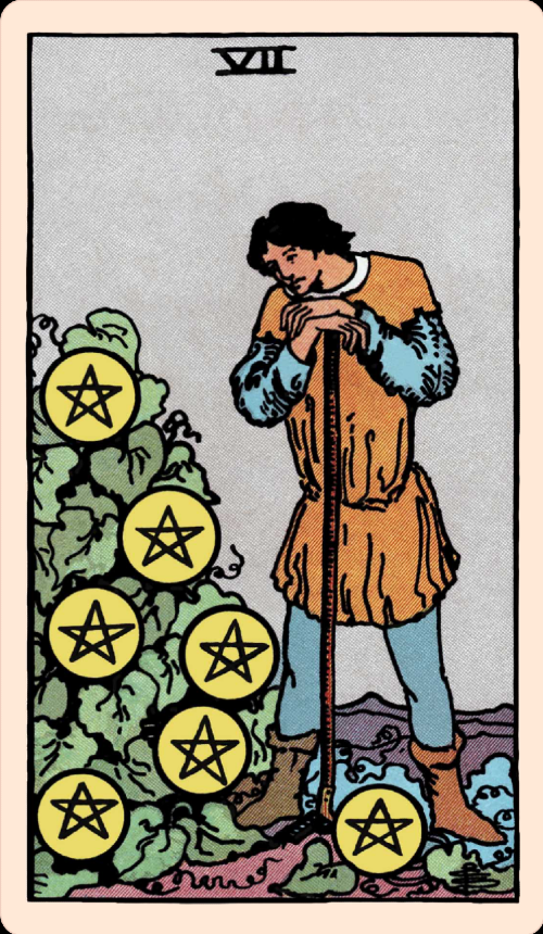A person stands over their garden, observing 7 pentacles on a bush.