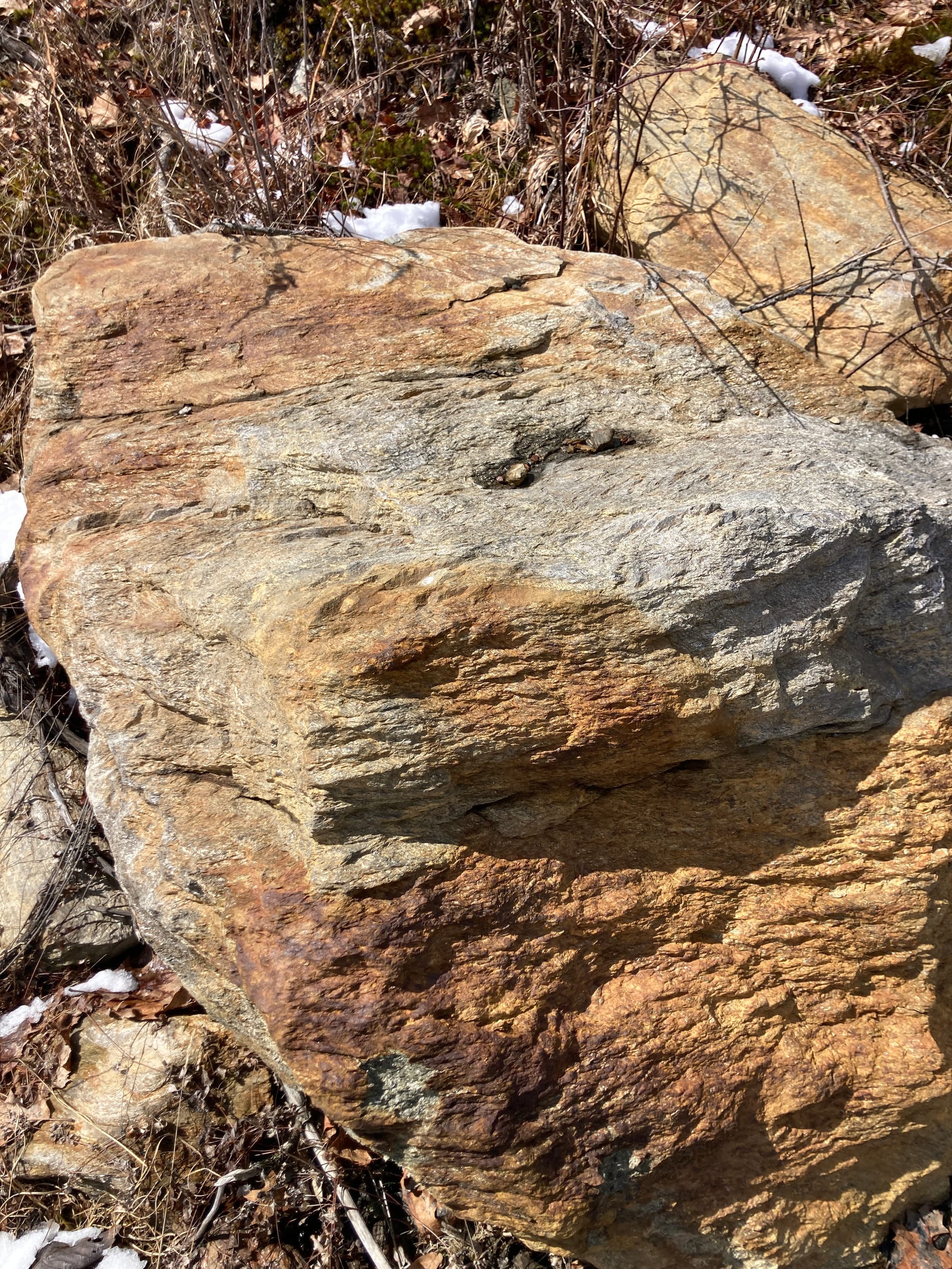 Close-up of a boulder with rust-colored and silver/grey patterns on it.