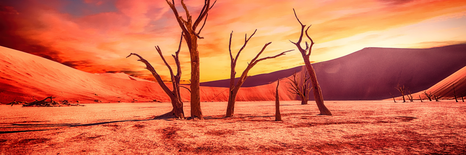 Householder Climate Action