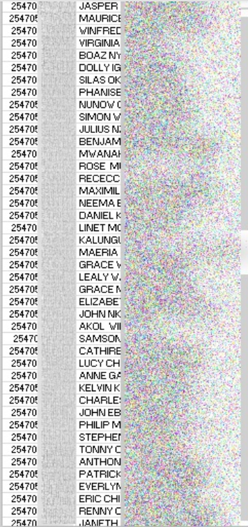A snapshot of the data showed that it includes the names and numbers of KCB customers.