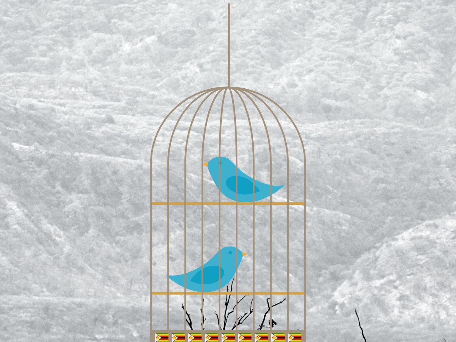 Shadowy Twitter subculture emerging in Zimbabwe