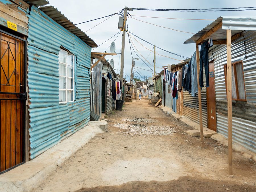 Fiber-to-Shack, Disruption, or Gamble?