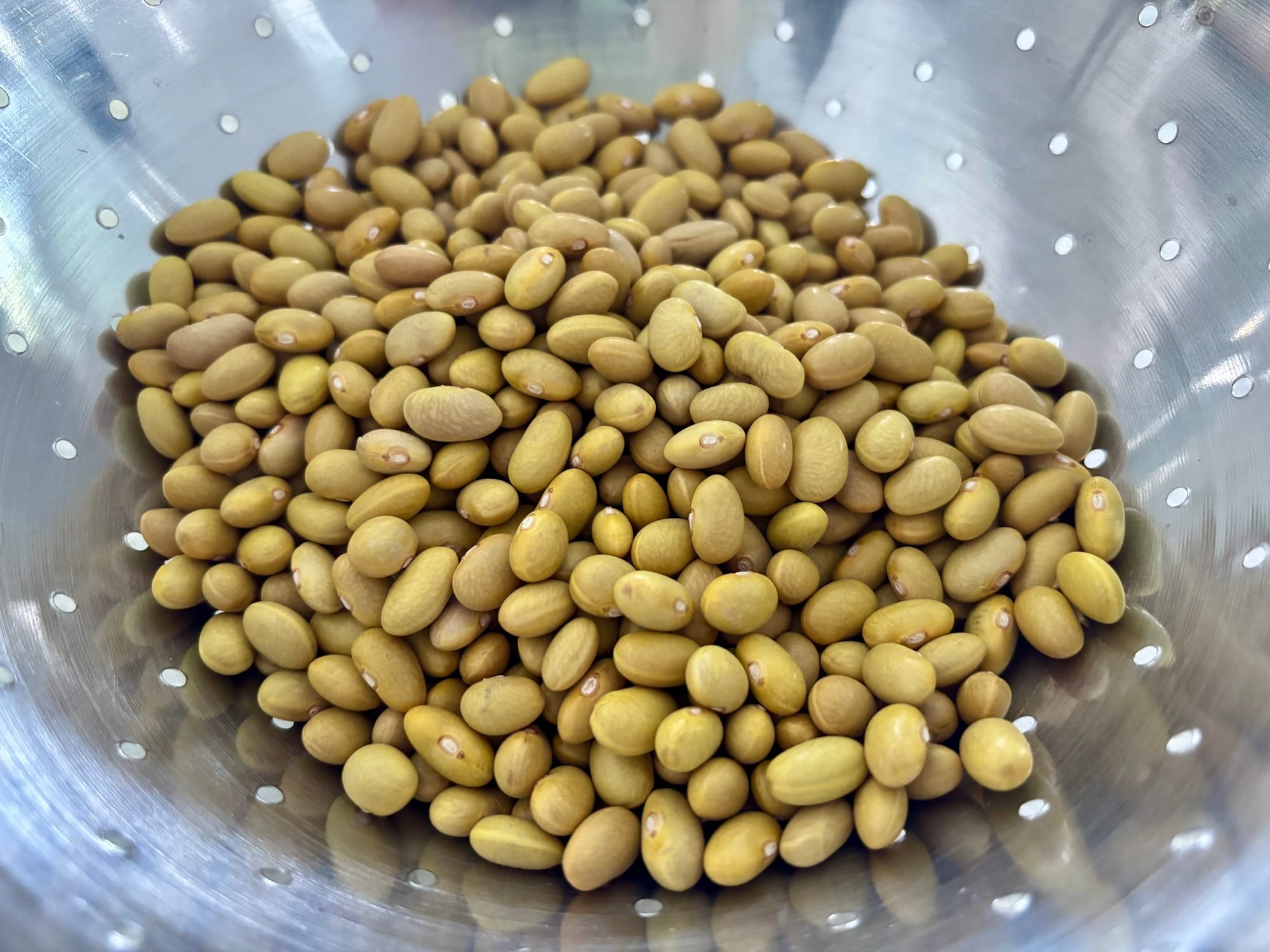 Mayocoba beans in a colander
