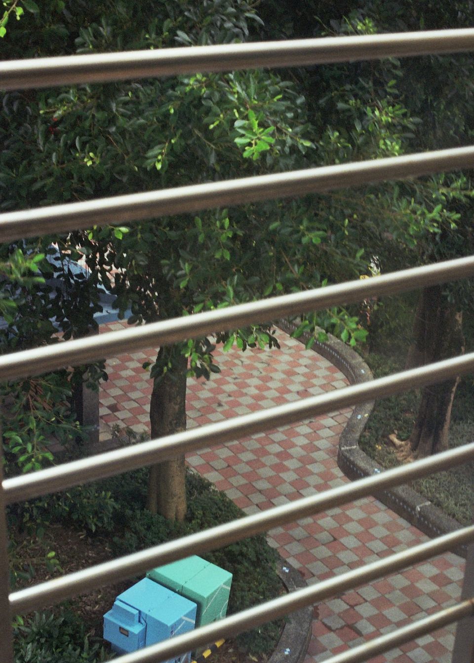 A gray and red cement tiled walkway as seen from above. The walkway is surrounded by trees and shrubs. Iron window bars in the foreground obscure the view.