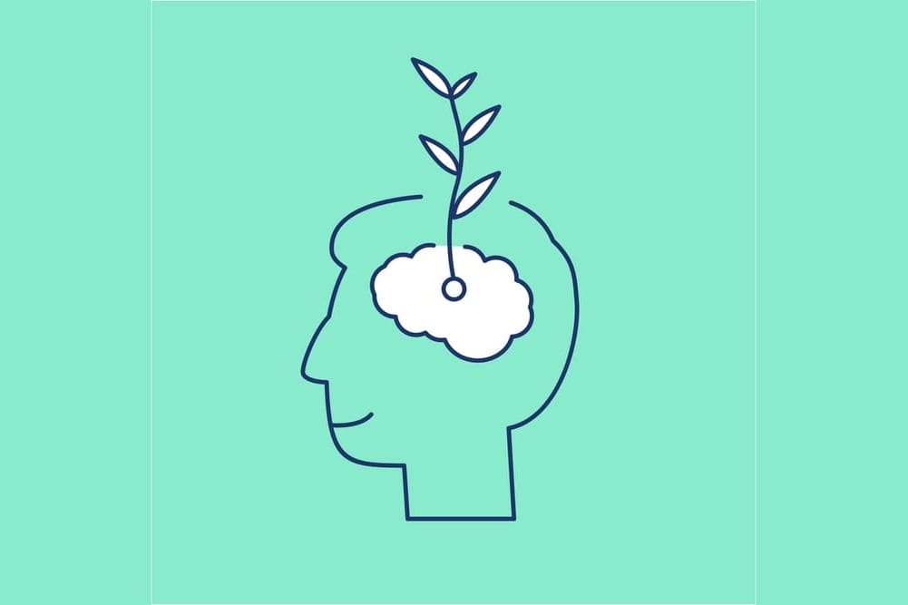 Mindset Resources