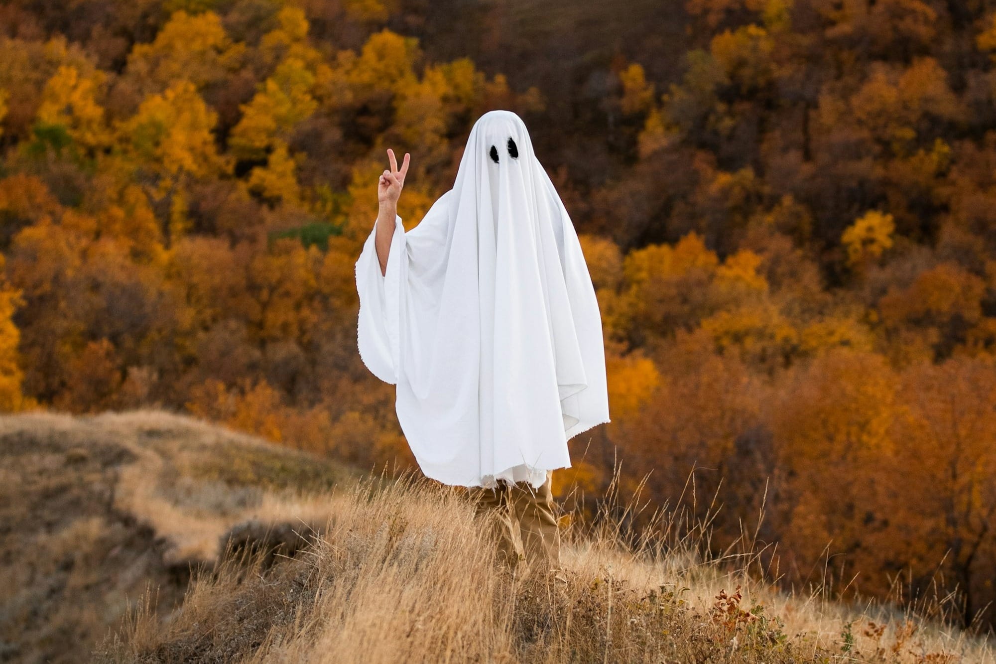 Why I Ghost-ed