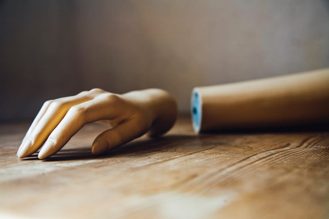 [DIGEST] Cyborgs vs scabs