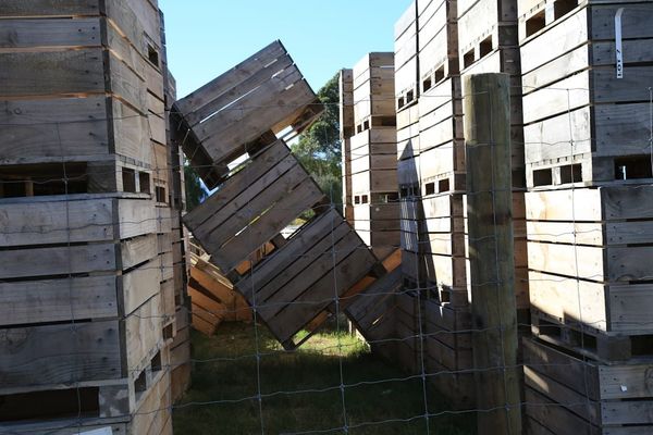 Down with the Frankenstack! : The Indie Author’s Marketing Dilemma
