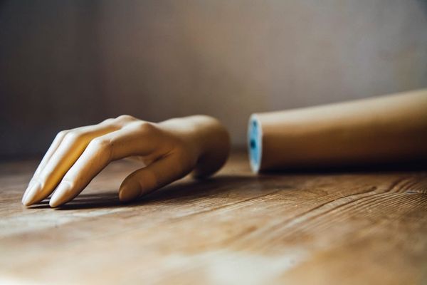 [DIGEST] Cyborgs vs scabs