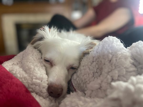 [DIGEST] Free vs. paid