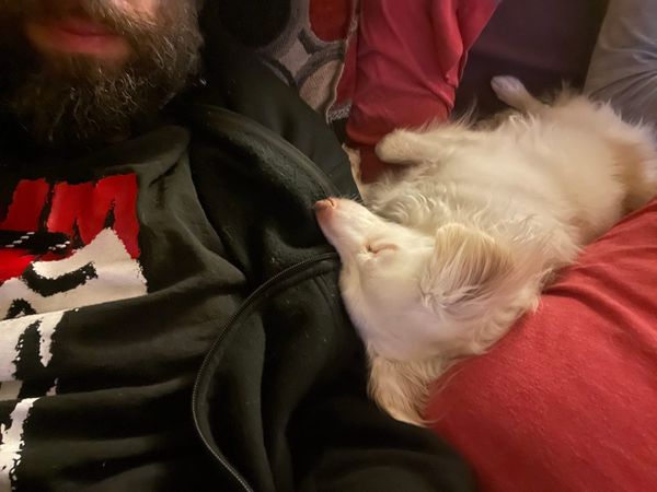 [DIGEST] The "off" season...