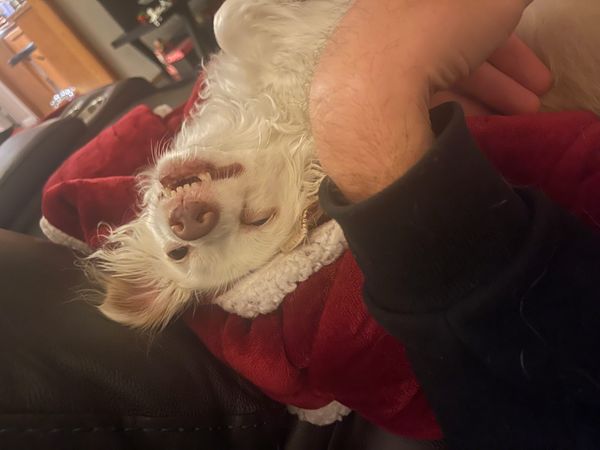 [DIGEST] I never asked for a whole new year...