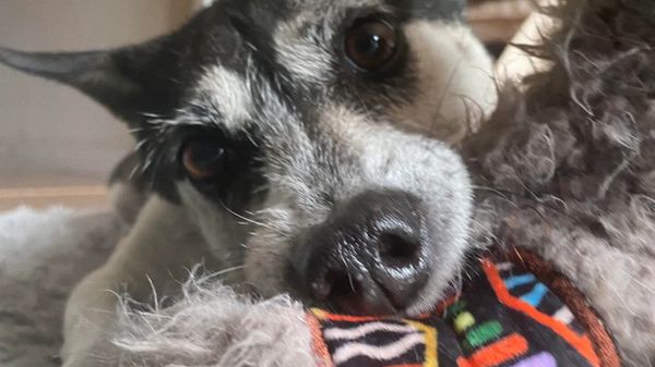 [DIGEST] Recovery...