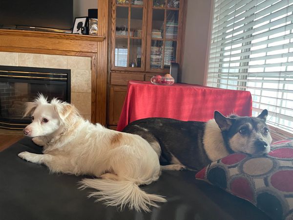 [DIGEST] Home, work, and play