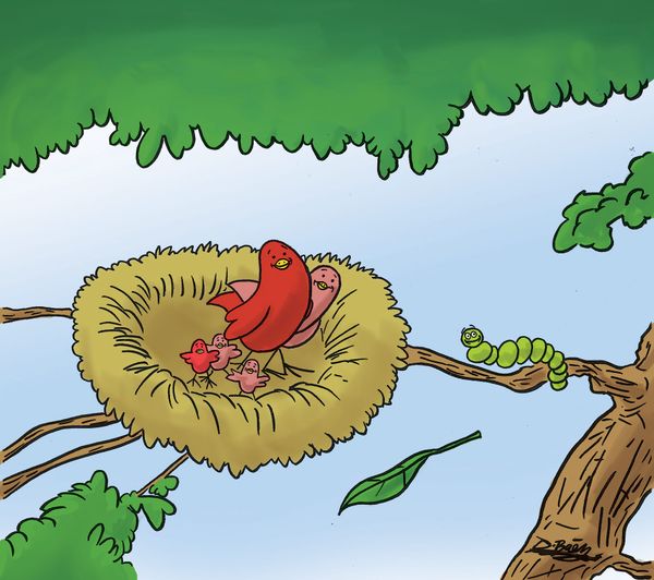 The Little Bird and The Little Worm