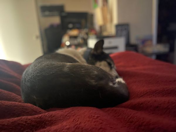 [DIGEST] Feeding people poisonous ice cream is prolly a bad business decision...