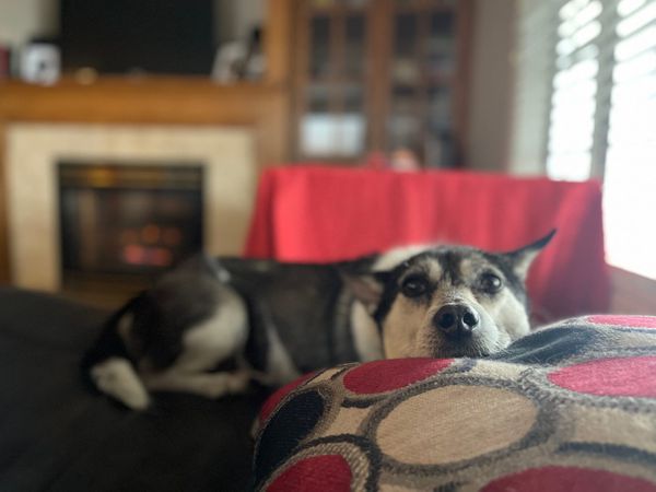 [DIGEST] Gaslighting yourself...