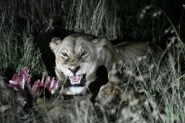 [DIGEST] The long way home...