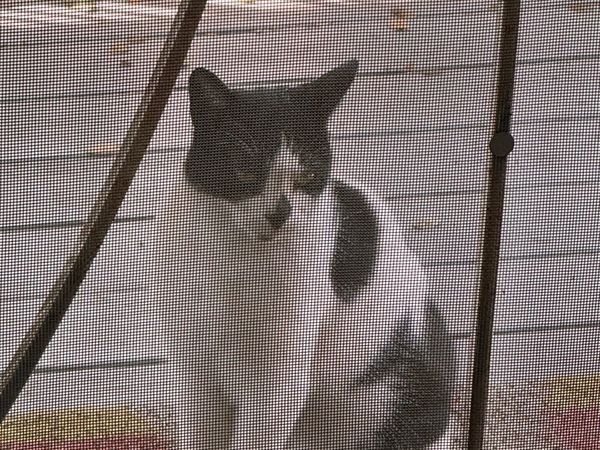 Wannabe Press Income Report - Q3 - 2025