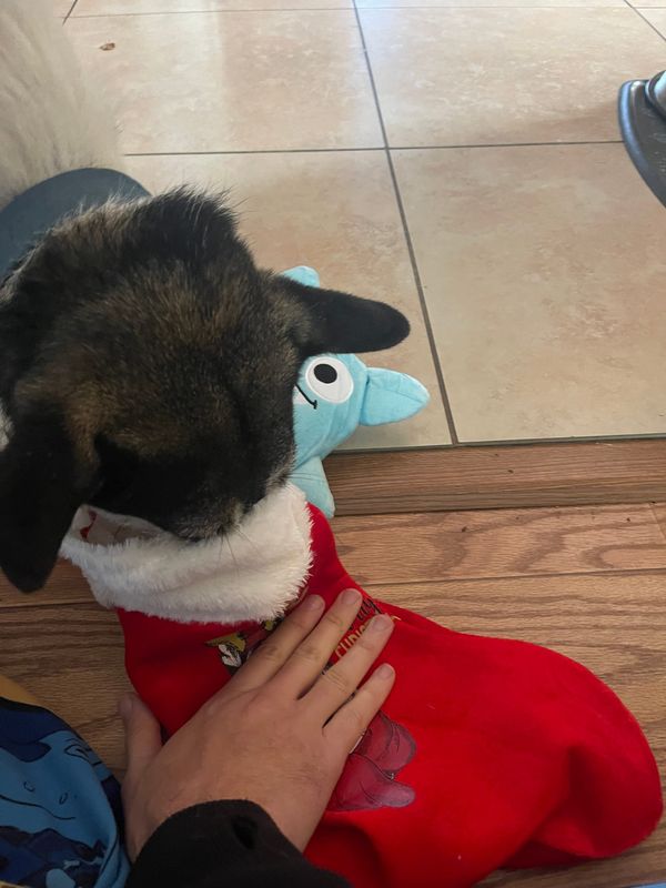 [DIGEST] Dead week...