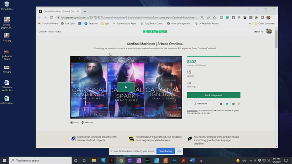Tracy Eire campaign breakdown