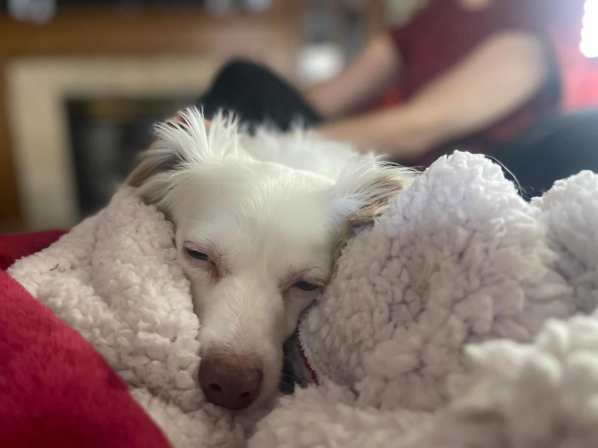 [DIGEST] Free vs. paid