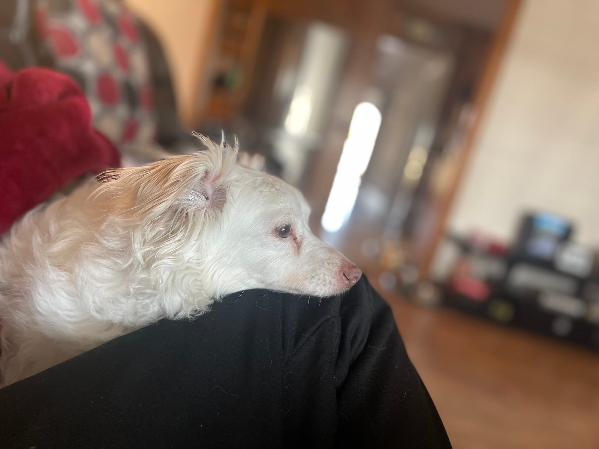 [DIGEST] The four main stages of Substack growth...