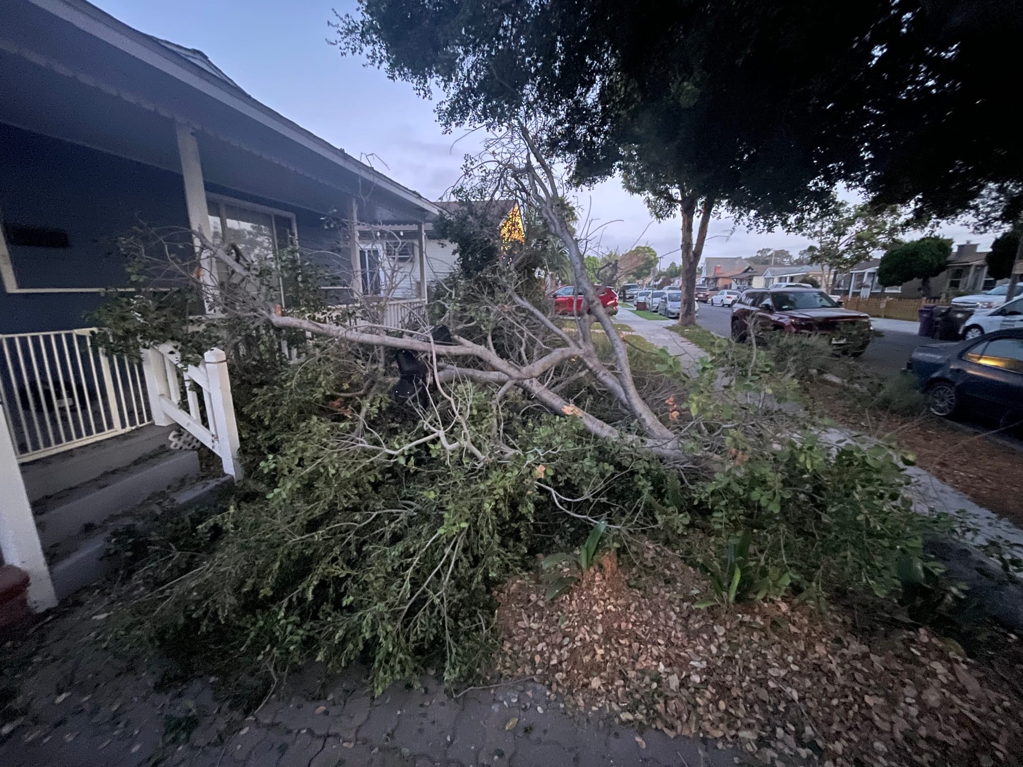 If a tree falls in your front yard...