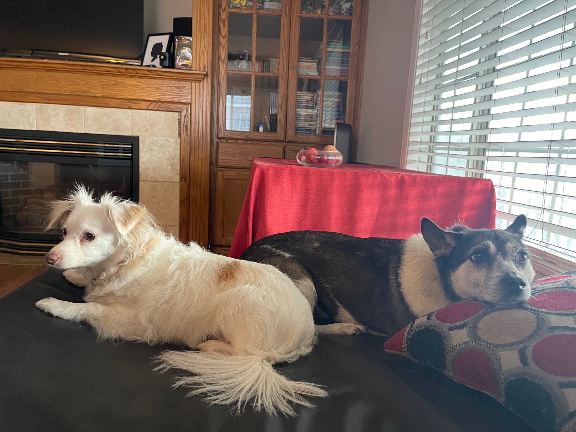 [DIGEST] Home, work, and play