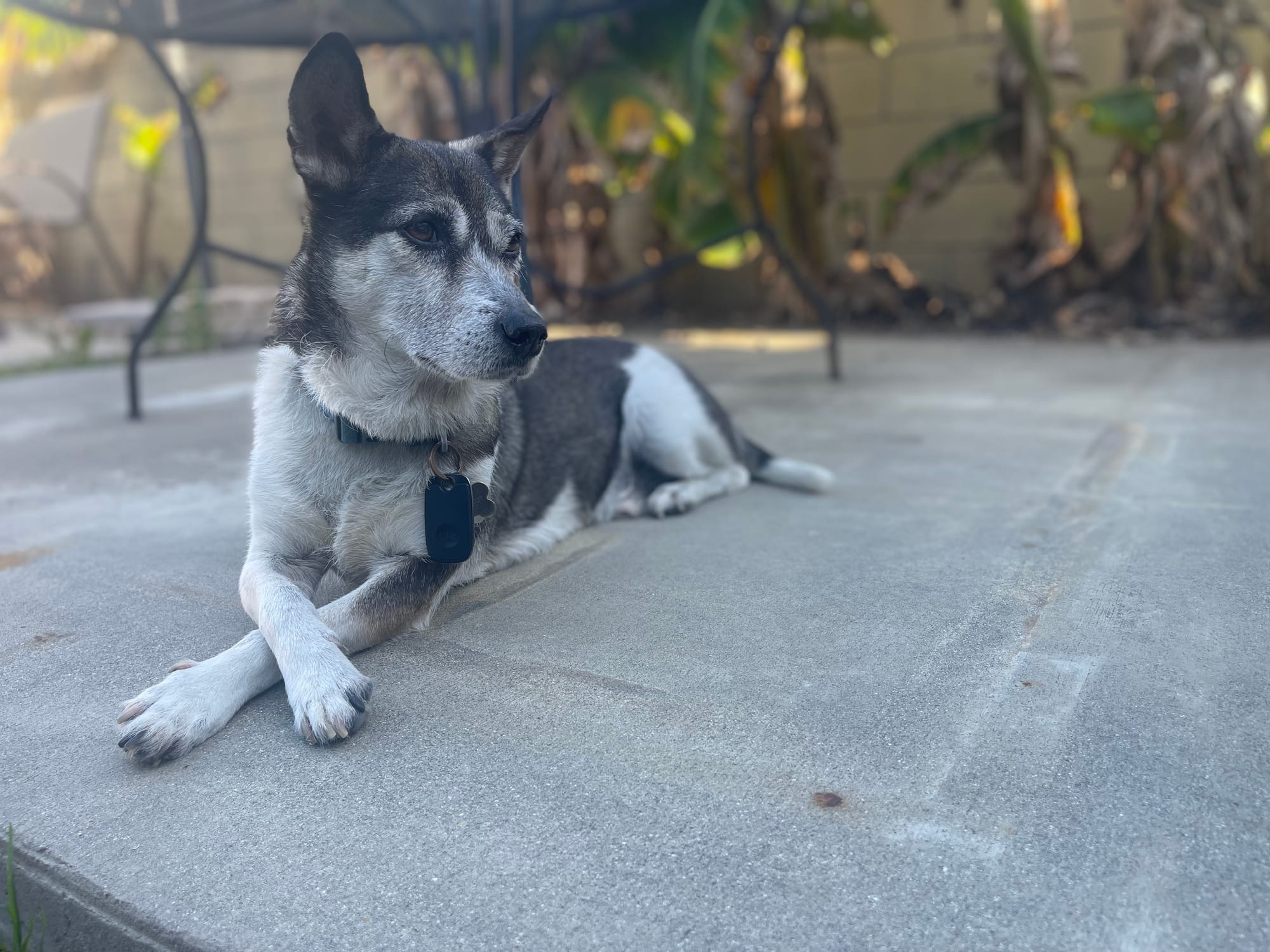 [DIGEST] If all else fails, you are not a failure...