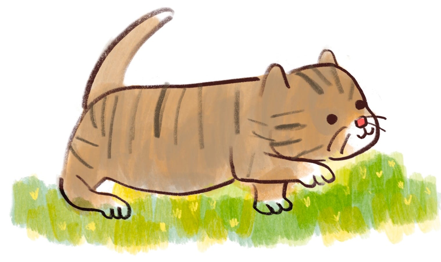 How Beth Spencer used a sneaky kitty to grow to over $10,000 in gross annualized revenue