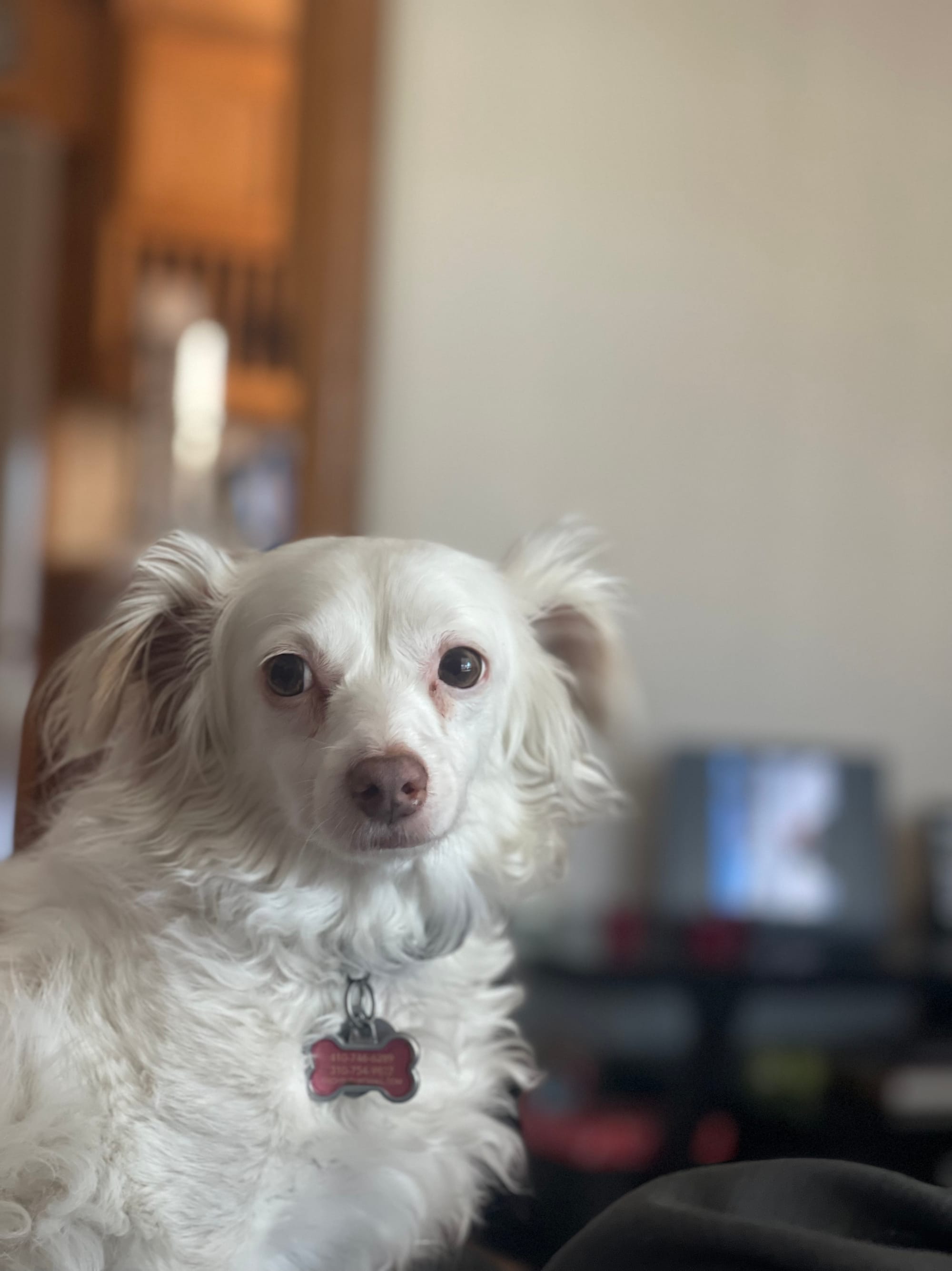 [DIGEST] Night terrors...