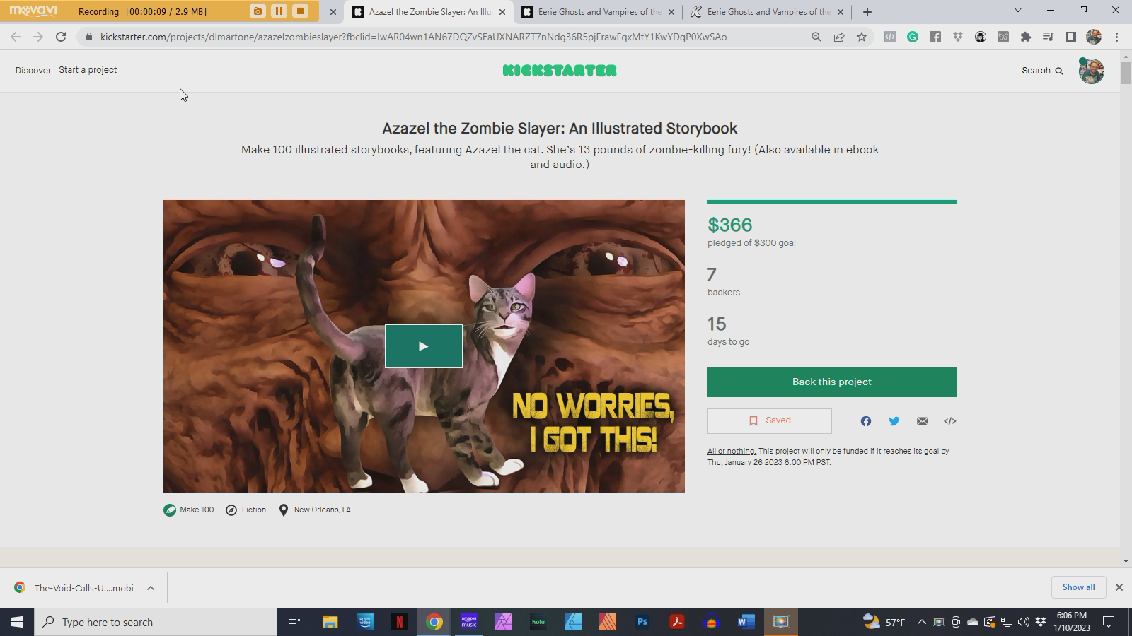 Zombie cats campaign breakdown