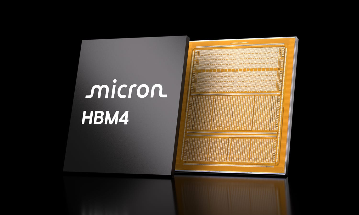Micron HBM4 전면과 후면 공식 제품 사진