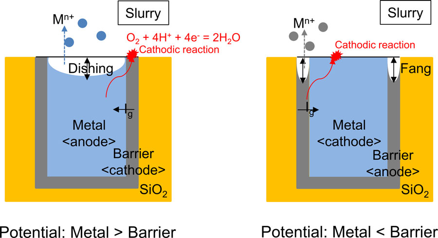 Two schematics showing how the potential difference between a metal and barrier causes dishing or fang corrosion during CMP