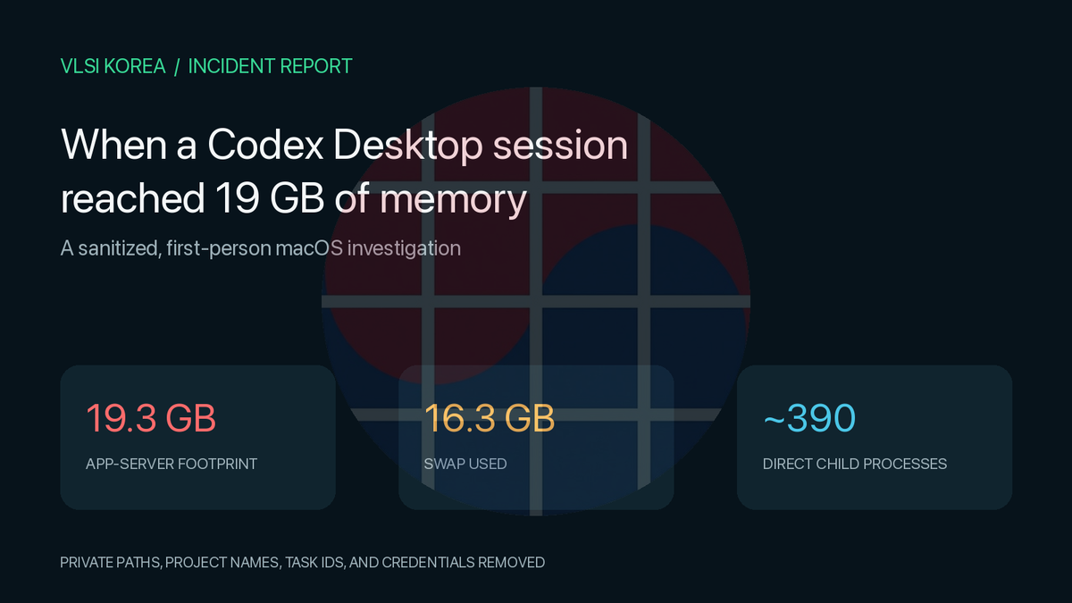 Sanitized Codex Desktop memory incident summary showing a 19 GB app footprint and 16 GB of swap