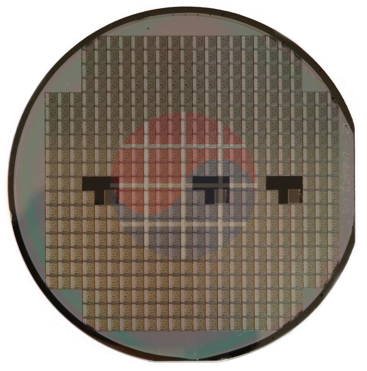 Photograph of a silicon wafer on a white background.