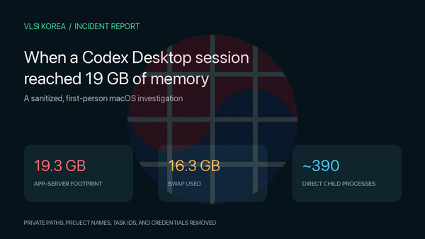 Sanitized Codex Desktop memory incident summary showing a 19 GB app footprint and 16 GB of swap