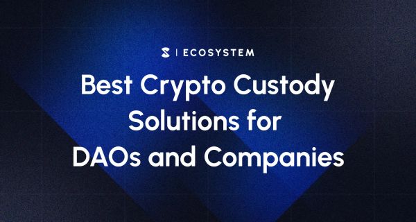 Best Crypto Custody Solutions for DAOs and Companies (2025)