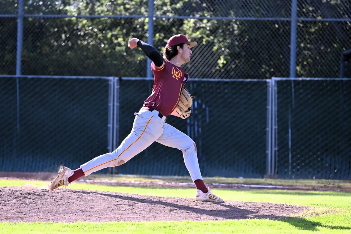 Bears feeding off Molise's energy