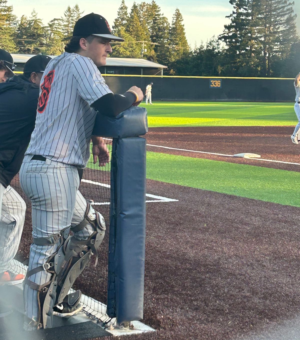 Los Gatos delivers another knockout punch