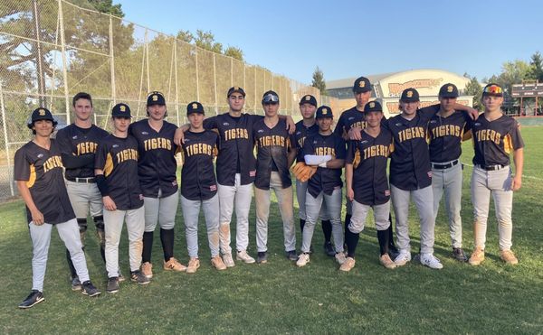 A perfect 10: Tigers visit new heights